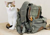 a back to school gift